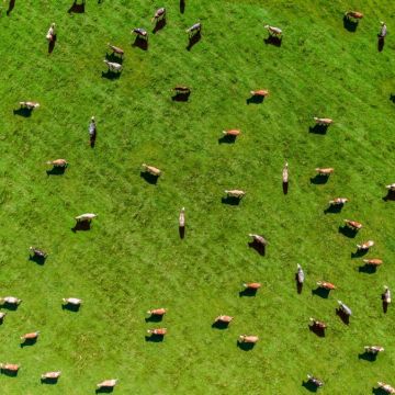 MyFarmWeb για πιο βιώσιμη γεωργία στην Ευρώπη