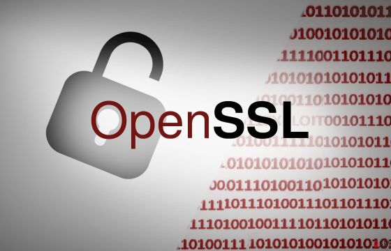 Η Check Point προειδοποιεί για την ασφάλεια του OpenSSL